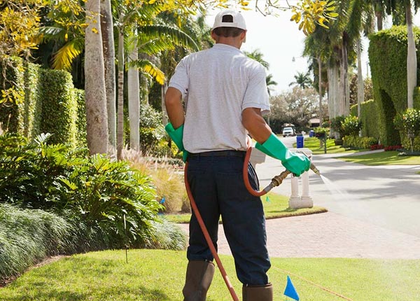 About Le Grand CA Pest Control